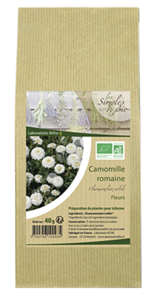 Plante Camomille Romaine