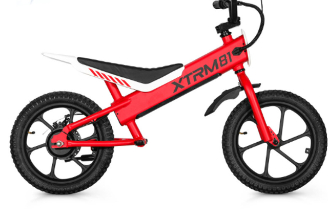 Draisienne électrique pour enfant 36V 350W DX 16 pouces