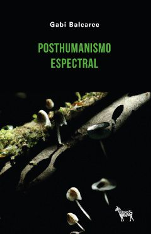 Posthumanismo espectral - Gabi Balcarce