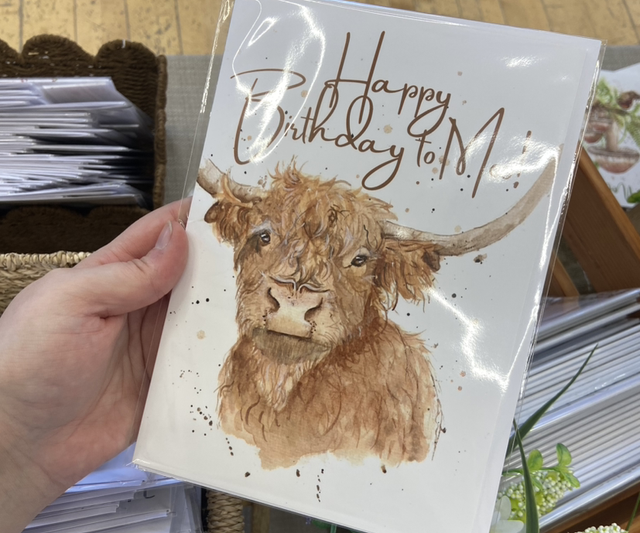 Hamish Happy Birthday to Moo! Highland Cow A5 Card