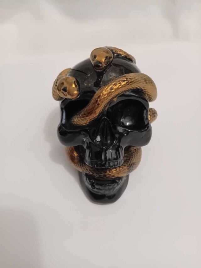 skull avec serpents 
