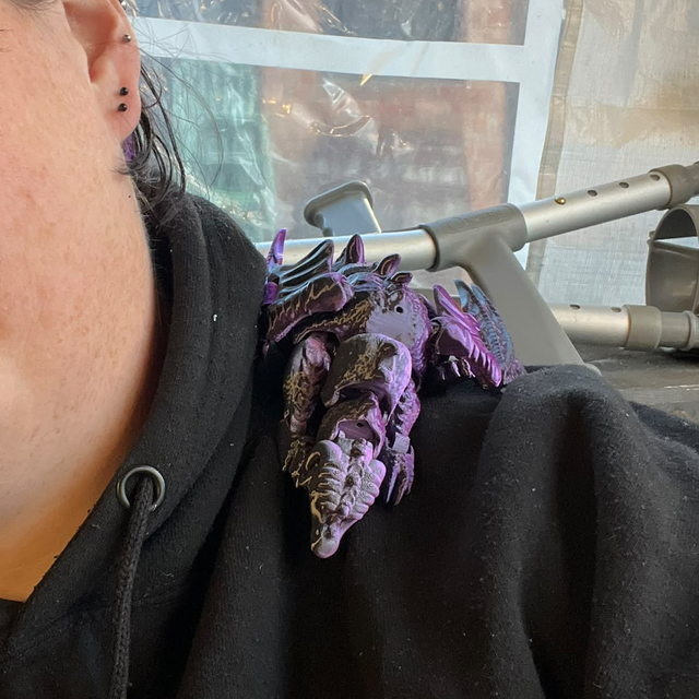 Pet shoulder dragon 