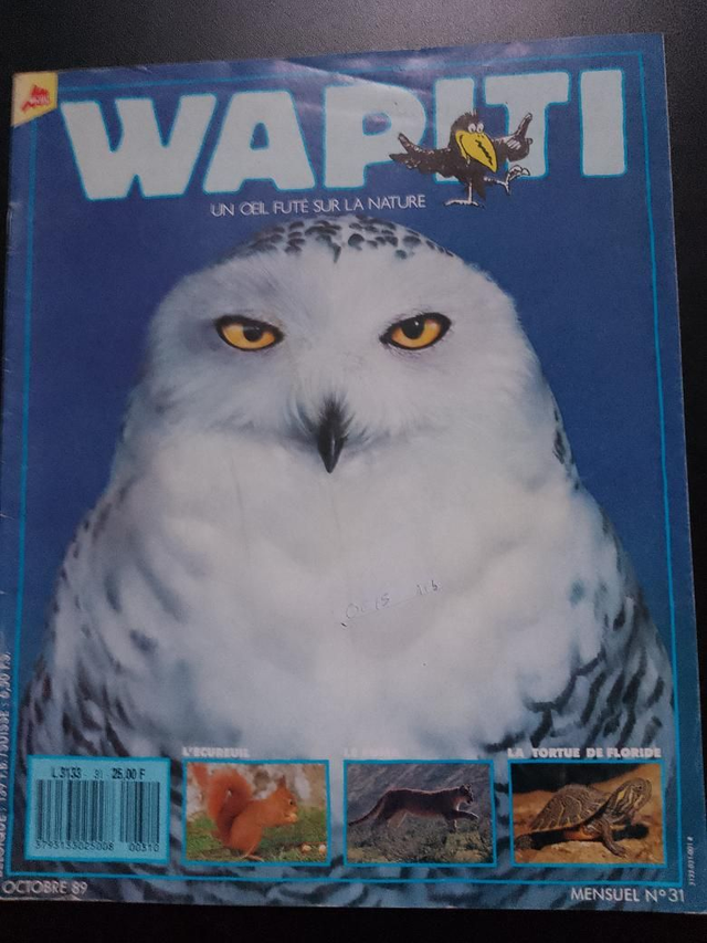 Un oeil sur la Nature - Wapiti - n31