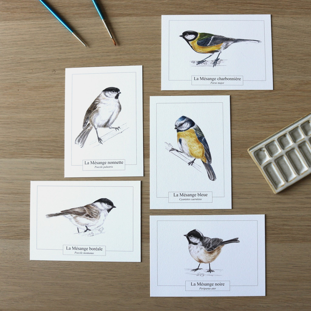 Carte au choix - Collection "Mésanges de France"