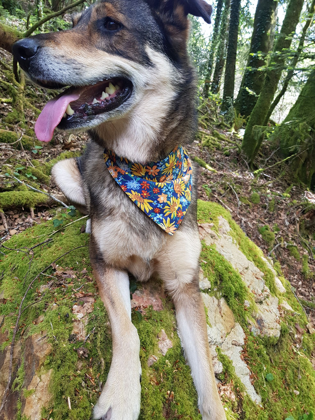 Bandana à nouer 
