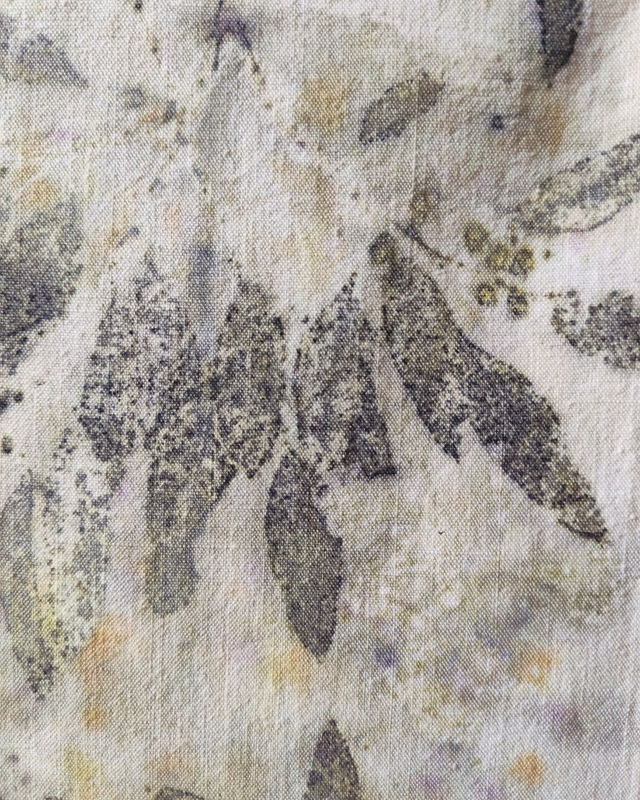 Petit Kakémono * Eucalyptus *