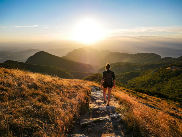 Coaching - Gestion émotionnelle - Décodage Biologique - Fleurs de Bach