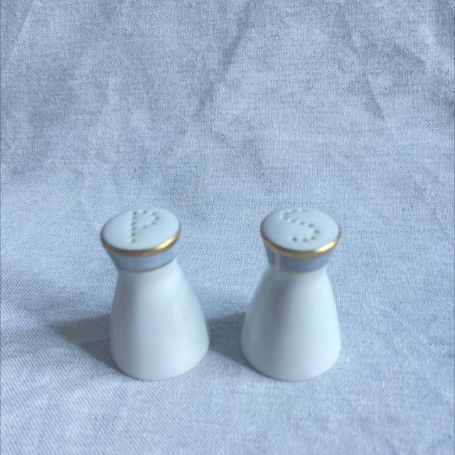 Arzberg Salz und Pfeffer Porzellan Gala Blau