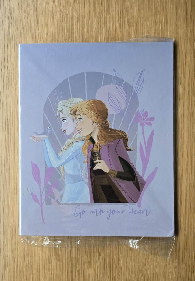 Classeur Reine des Neiges Elsa et Anna Neuf 