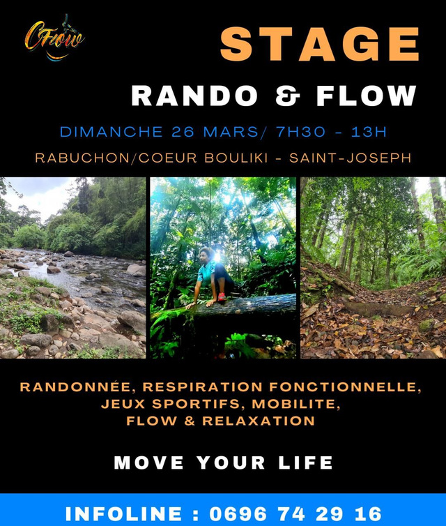 Stage Rando &amp; FLOW