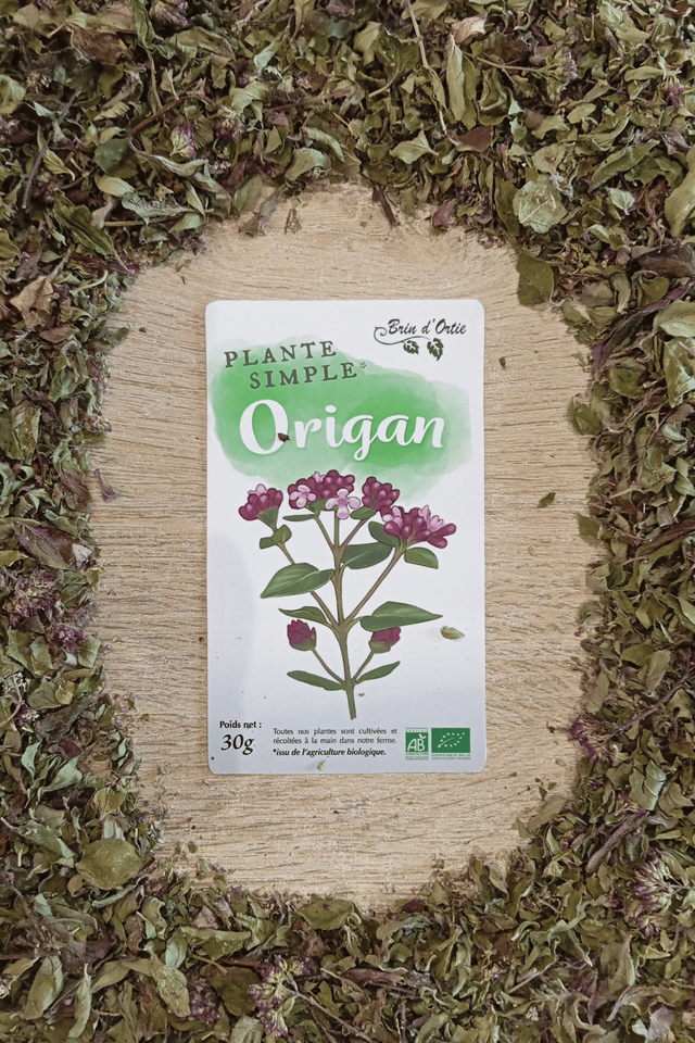 Plante simple, Origan