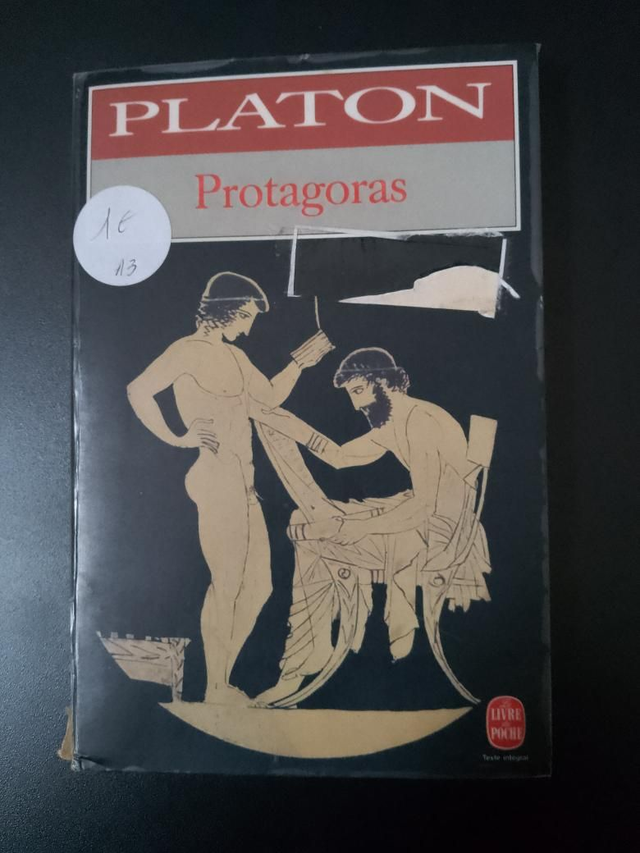 Protagoras, Platon