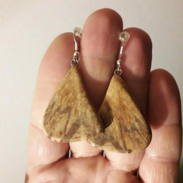 Palo Santo Earrings, Natural Wooden Jewelry B