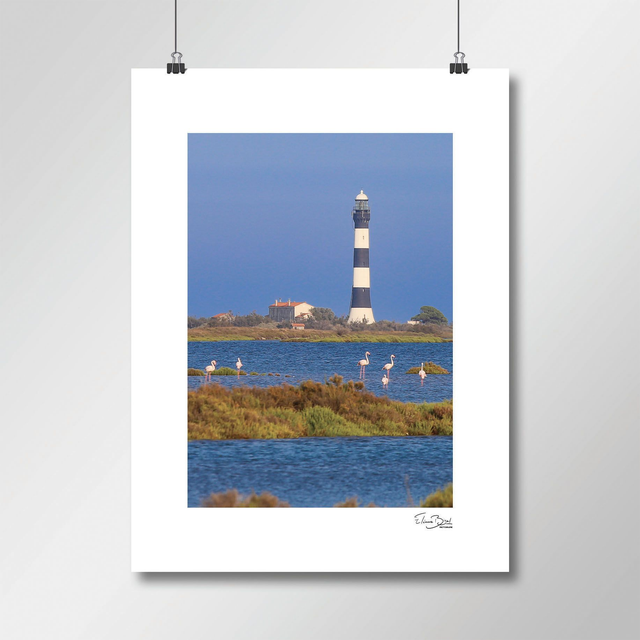 Affiche « Salin de Giraud » 