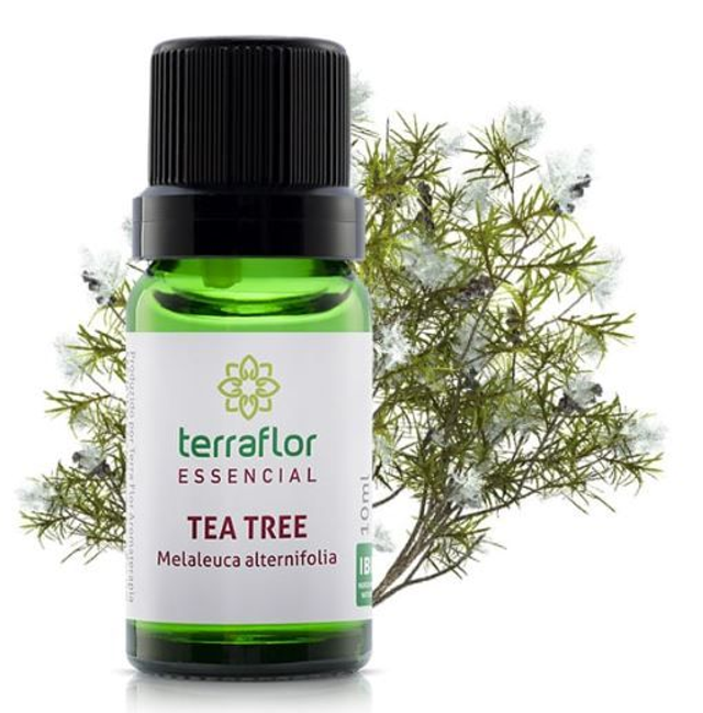 Tea Tree ( Melaleuca) 10ml - Terra Flor