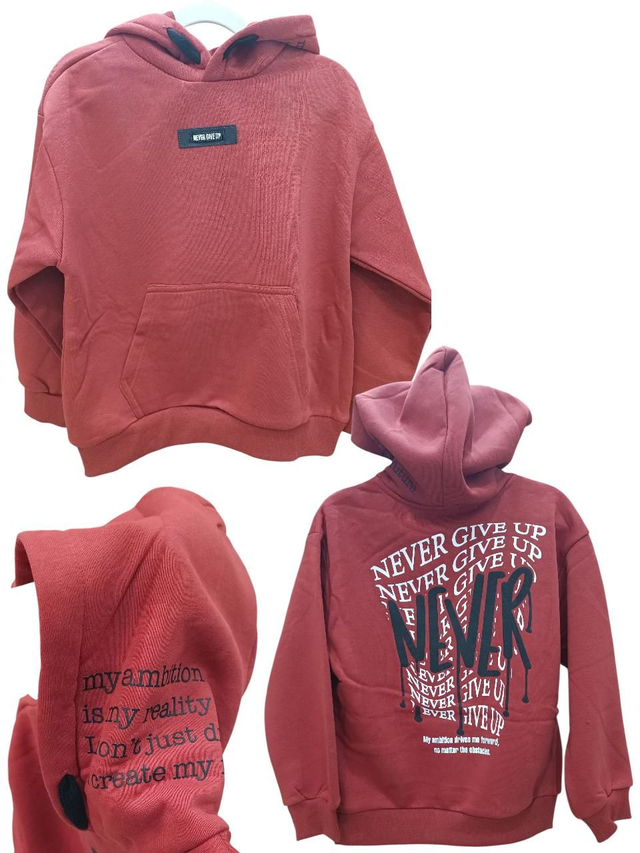 Sweat capuche NEVER GIVE UP