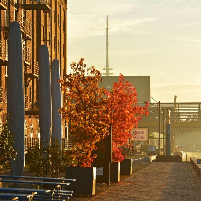 Herbst am Stadthafen