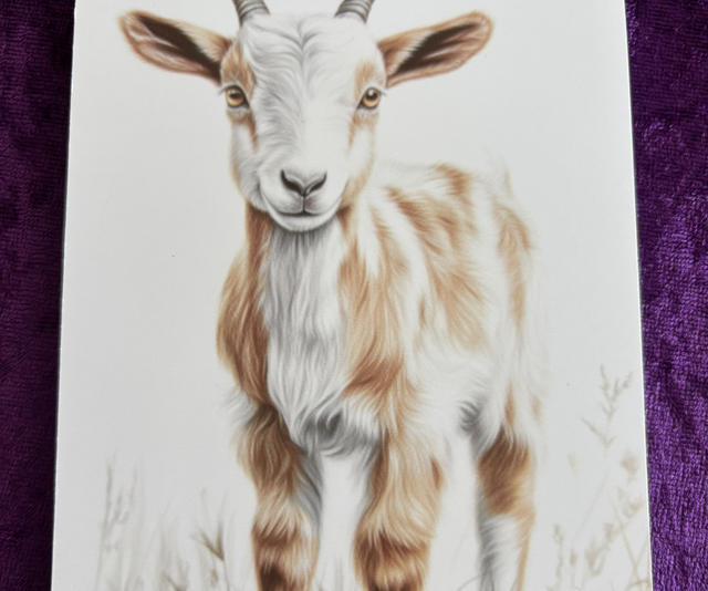 Plain Note Pad Goat brown/white