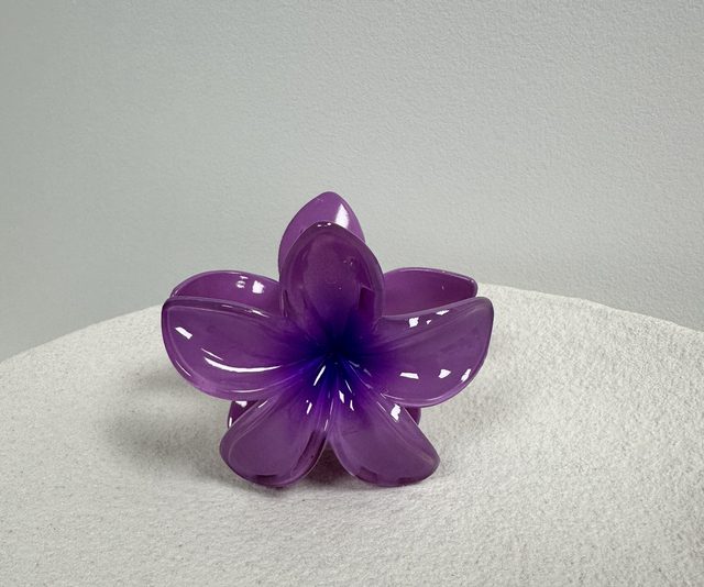 PINCE À CHEVEUX FLOR