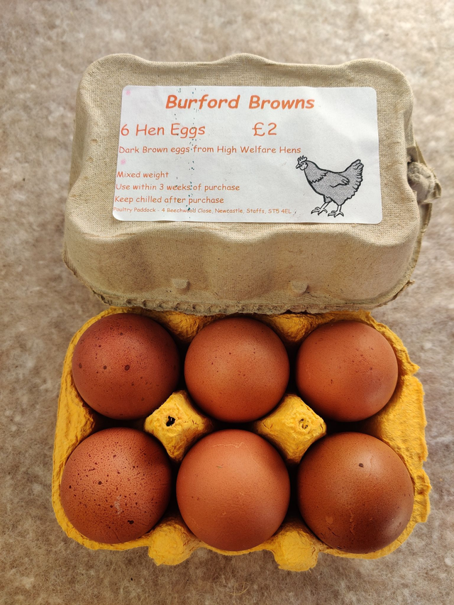 Burford Brown Eggs