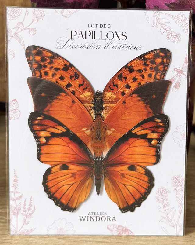 Lot de 3 Papillons Orange | Décoratifs