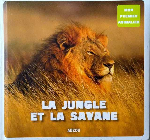 La jungle et la savane