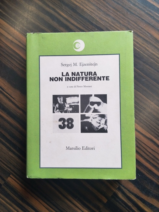 Sergej M. Ejzenštejn - La natura non indifferente (Marsilio, 1981 - 1a ed.)