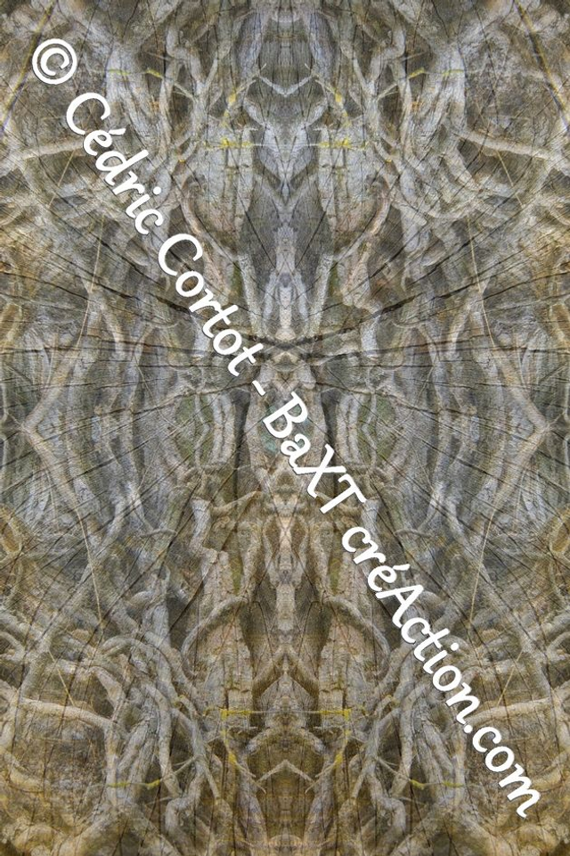 Impression sur alu dibond - Entre réel et irréel (ref 0401-IMG_0559-4 R)