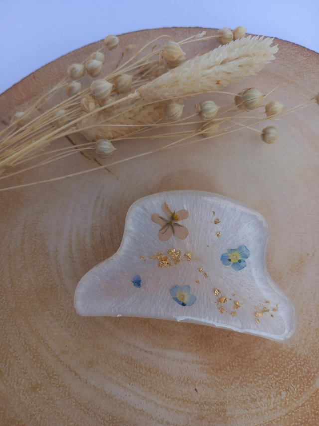 Barrette quenya