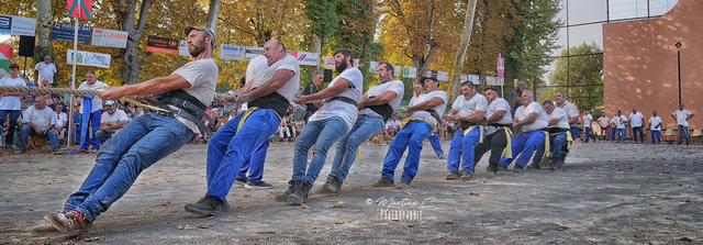 SOKA St Palais Panoramique 20x60