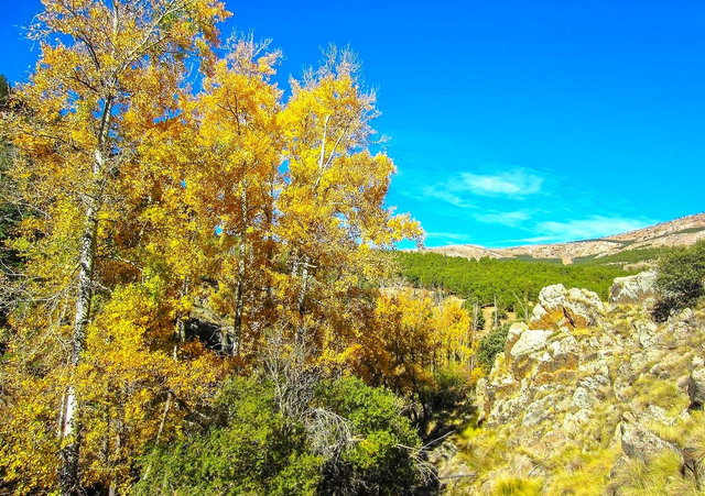Granada - Sierra de Baza