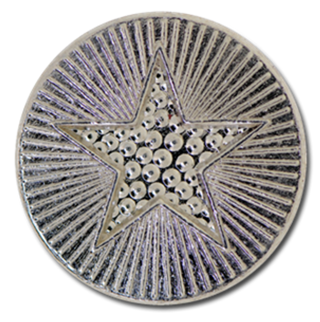 (1) Star Badge - Silver