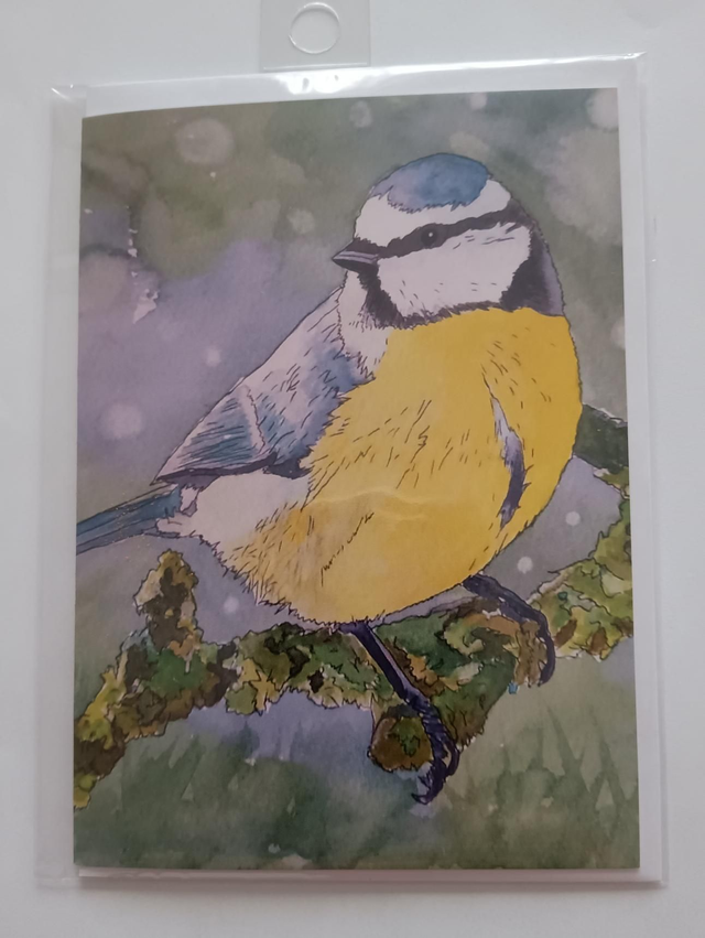 Blue tit greeting portrait 