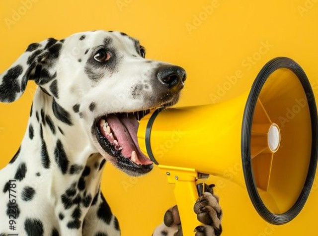 Blackfridaydeal - 8 week course Felixstowe Venue 07/01/2026