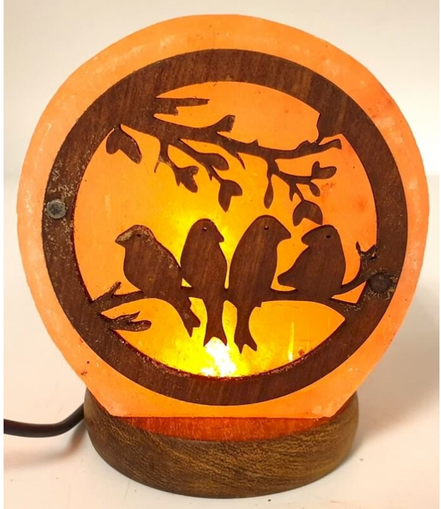 Lampe de Sel USB Oiseaux 1KG