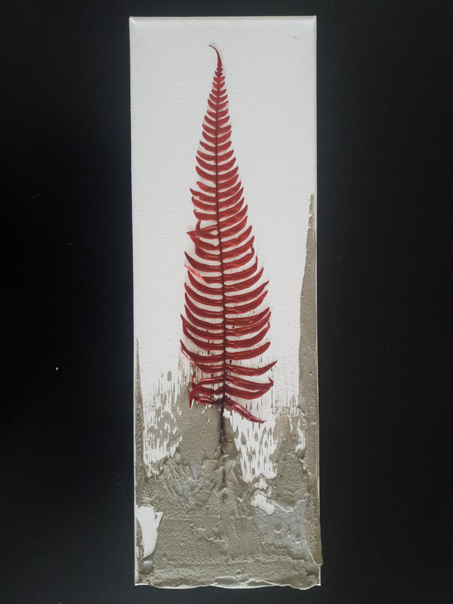 -T- Fougère rouge II