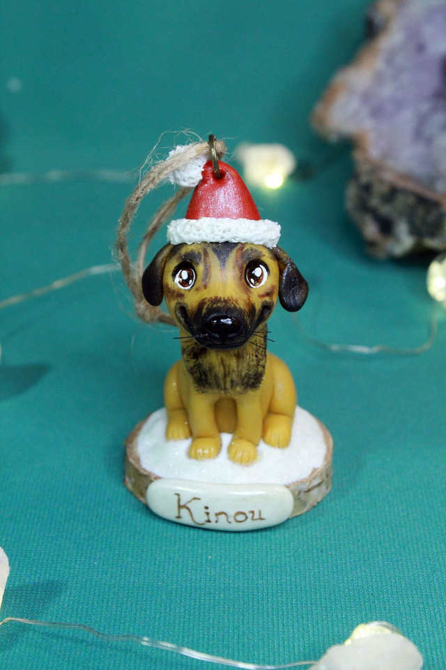 Noël Mon animal à suspendre