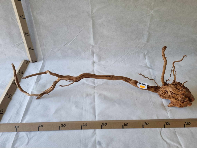 Racine Dragon Skin D-301