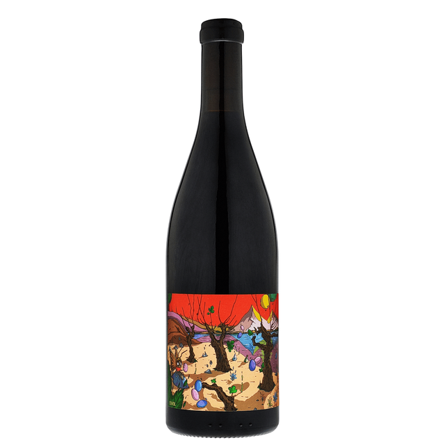 Domaine L' Enviegne Bioweingut - Envol Gamay (Beaujolais) trocken 0,75l