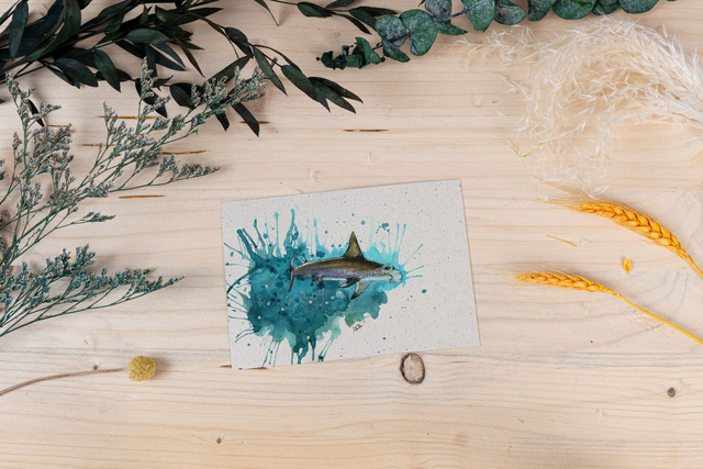 Graspapierkarte - Hammerhai