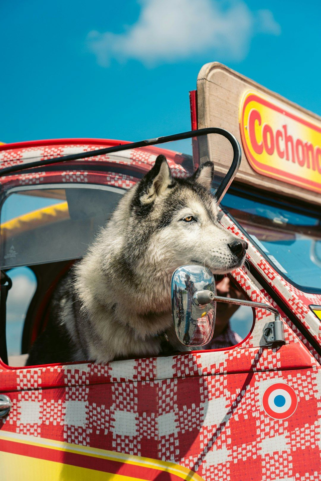 1- Forfait "Expérience"