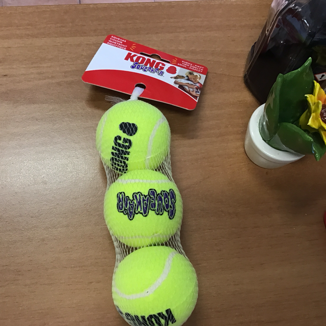 KONG SMALL SQUEAKER TENNIS BALLS 3PZ 