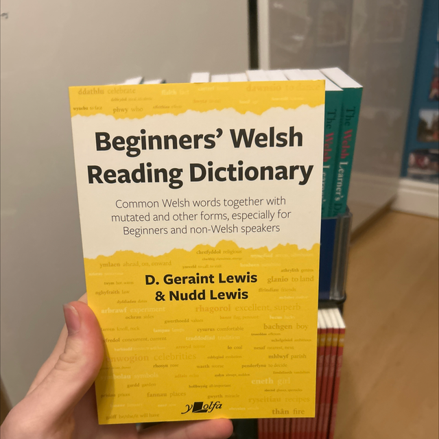 Beginners’ Welsh Reading Dictionary 