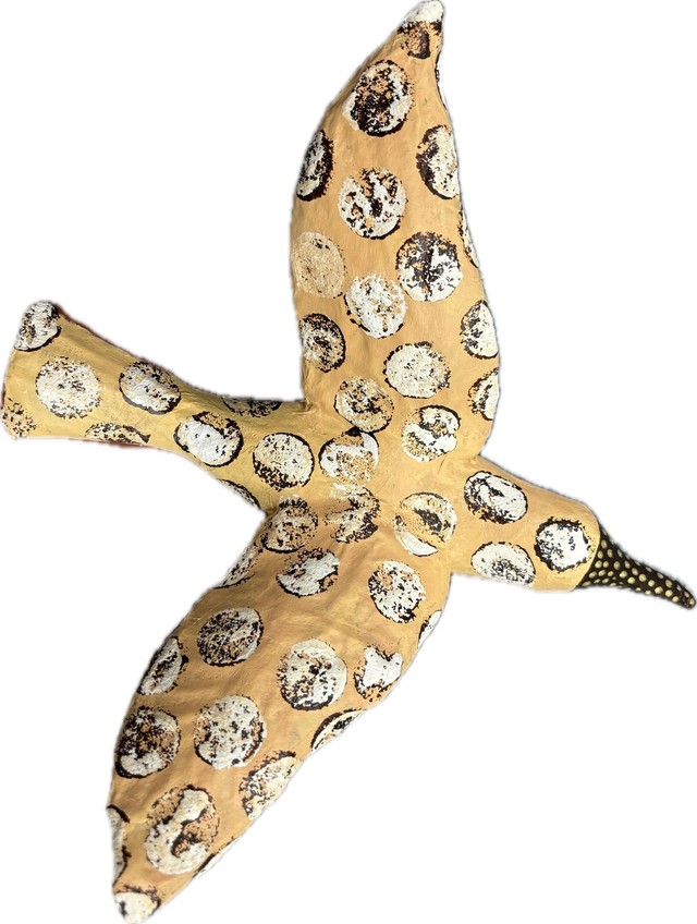 Ali di carta no. 07/28