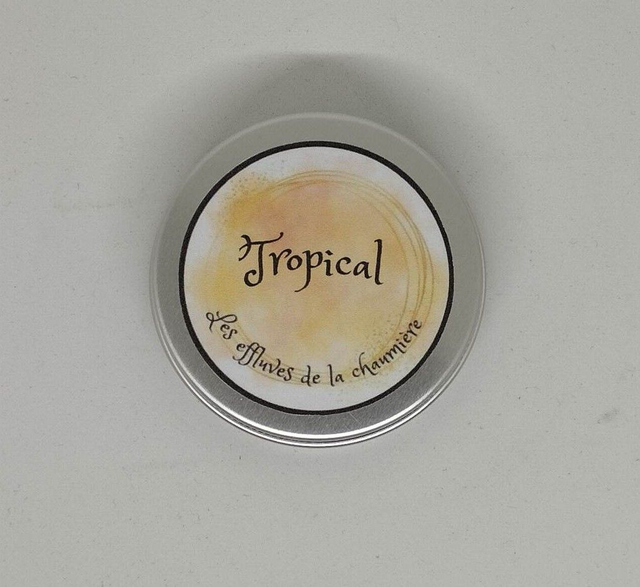 Absorbeur d’odeur pour toilette