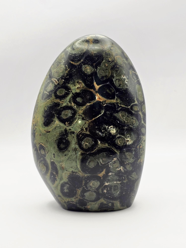 Jaspe kambaba forme libre 800g