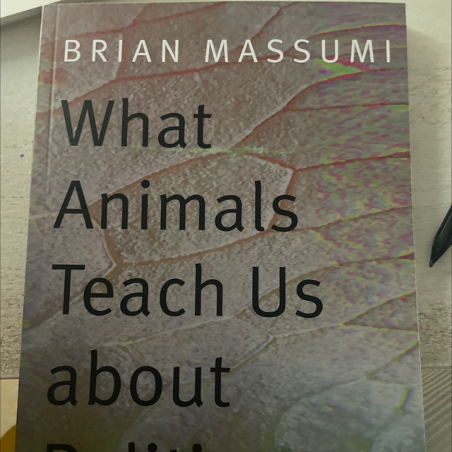 What Animals Teach Us Brian Massumi