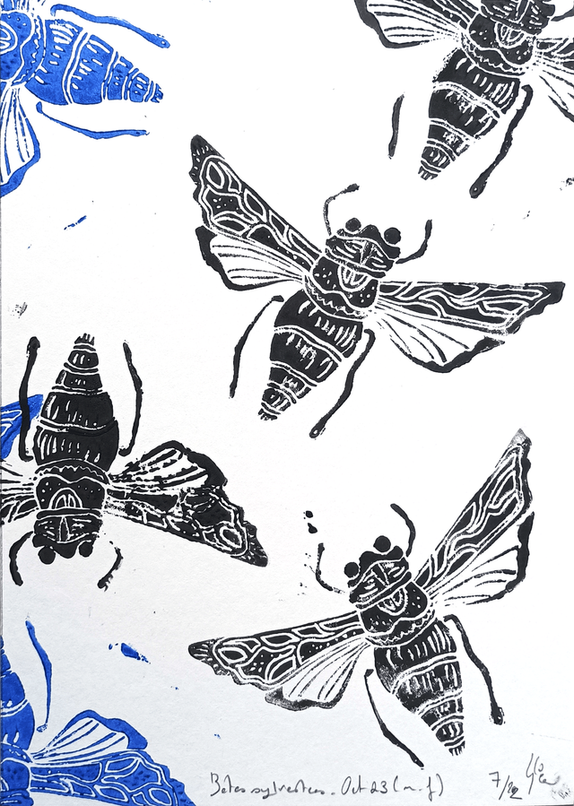 Bêtes sylvestres A5 7/22