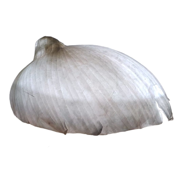 Abat jour papier japonais