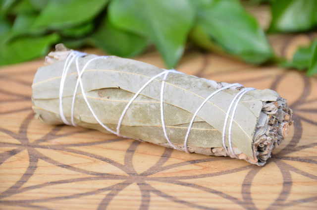 Sauge blanche à Eucalyptus